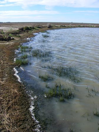 Tank at 'Yurdyilla'